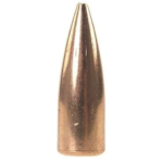 Speer TNT Varmint Bullets 30 Caliber (308 Diameter) 125 Grain Jacketed Hollow Point